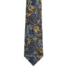 Breeze Paisley Tie