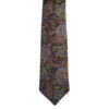 Terra Paisley Tie