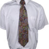 Terra Paisley Tie - Image 2